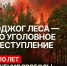 ВНИМАНИЕ! В Красночикойском округе введён особый противопожарный режим! - Красночикойский район